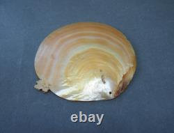 Beautiful Old Mounted Oceanic New Britain Papua New Guinea Arawe Currency Shell