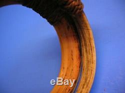 Boar's Tusk Arm Band / Highlands Region Of Papua New Guinea