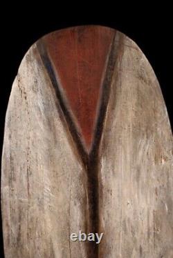 Bouclier de guerre, war shield, oceanic art, primitive art, papua new guinea