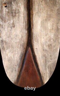 Bouclier de guerre, war shield, oceanic art, primitive art, papua new guinea