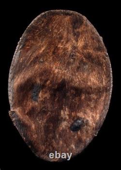 Bouclier, war shield, oceanic art, papua new guinea, tribal art, Oceania, 74 cm
