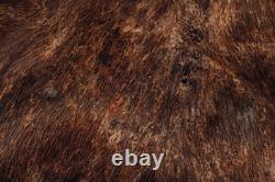 Bouclier, war shield, oceanic art, papua new guinea, tribal art, Oceania, 74 cm