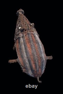Cochon vannerie, braided pig, oceanic art, tribal art, Papua New Guinea, 63 cm