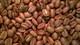 Coffee Beans / Papua New Guinea Eastern Highlands / 5 Pound / ROASTED