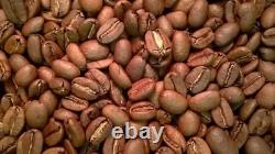 Coffee Beans / Papua New Guinea Eastern Highlands / 5 Pound / ROASTED