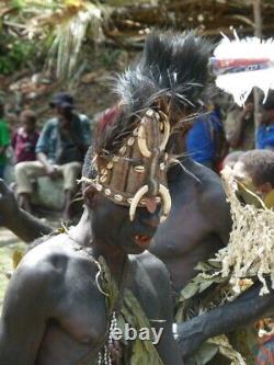 Coiffe de danse en plumes du sepik, dancing headdress, papua new guinea