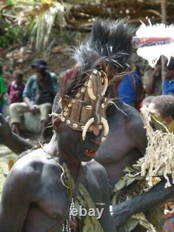 Coiffe de danse, headdress, traditional ornament, papua new guinea, oceanic art