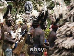 Coiffe de danse nokuma, dancing headdress, papua new guinea, oceanic art