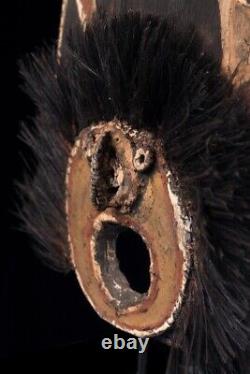 Coiffe wagnen, Abelam, yam headdress, papua new guinea, tribal art