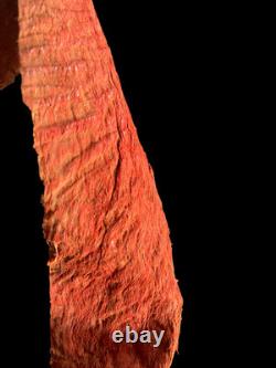 Coin Kina, Kina shell, oceanic art, tribal art, papua new guinea, 21 x 17 cm