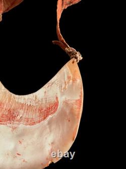 Coin Kina, Kina shell, oceanic art, tribal art, papua new guinea, 21 x 17 cm