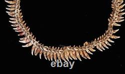 Collier d'apparat papou, tribal ornament, papua new guinea, primitive art