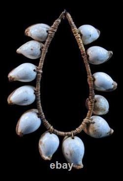 Collier d'apparat, traditional ornament, oceanic art, papua new guinea, 35 cm