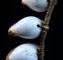 Collier d'apparat, traditional ornament, oceanic art, papua new guinea, 35 cm