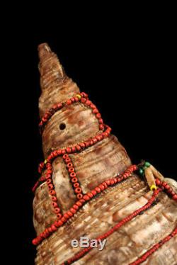 Conque traditionelle, traditional conch, shell, papua new guinea, oceanic art