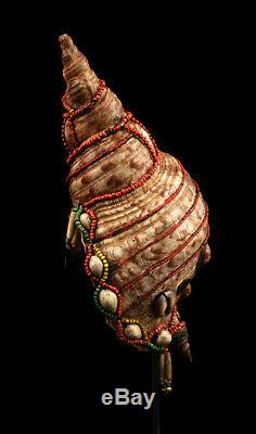 Conque traditionelle, traditional conch, shell, papua new guinea, oceanic art