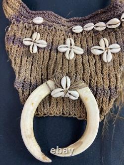 Crotch Cover With Cauri Decor Asmat Sepik Papua New Guinea
