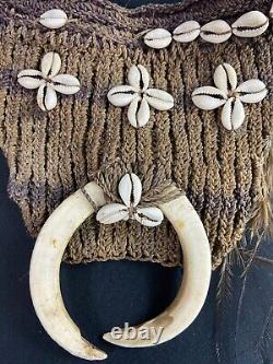 Crotch Cover With Cauri Decor Asmat Sepik Papua New Guinea