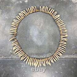 Dog teeth and plant fibers necklace, Papua New Guinea, 20th