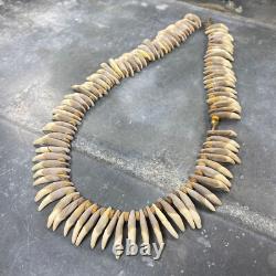 Dog teeth and plant fibers necklace, Papua New Guinea, 20th