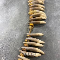 Dog teeth and plant fibers necklace, Papua New Guinea, 20th