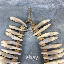 Dog teeth and plant fibers necklace, Papua New Guinea, 20th