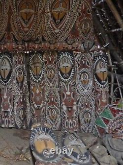 Ecorce peinte Abelam, painted sago bark ceiling, oceanic art, Papua New Guinea