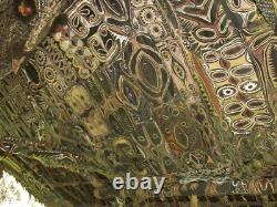 Ecorce peinte Kwoma, painted sago bark ceiling, oceanic art, Papua New Guinea