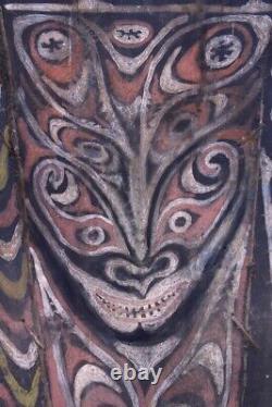 Ecorces peintes, painted sago bark ceiling, oceanic art, Papua New Guinea