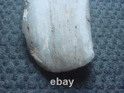 Exceptionally large (42cm) TRIBAL BRIDE PRICE STONE AXE Papua New Guinea