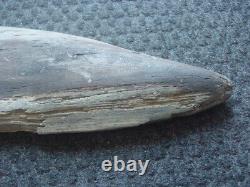Exceptionally large (42cm) TRIBAL BRIDE PRICE STONE AXE Papua New Guinea