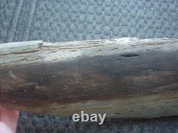 Exceptionally large (42cm) TRIBAL BRIDE PRICE STONE AXE Papua New Guinea