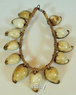 Exotic Ovula Seashell necklace, Papua New Guinea, Tribal Art