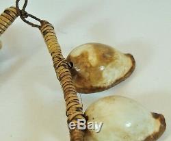 Exotic Ovula Seashell necklace, Papua New Guinea, Tribal Art