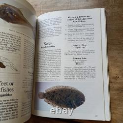 Field Guide to the Freshwater Fishes of New Guinea Allen 1991 softcover illustr