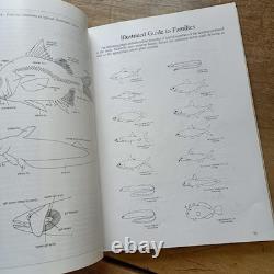 Field Guide to the Freshwater Fishes of New Guinea Allen 1991 softcover illustr