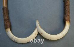 Fine Old Oceanic Papua New Guinea Polynesian Double Pig Tooth Amulet Necklace