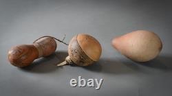 GOURD LIME CONTAINERS, Massim Region, Trobriand Islands, Papua New Guinea
