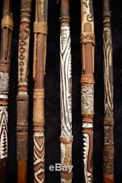 Group of 10 Rare Hewa Arrows April River PAPUA NEW GUINEA Important Provenance