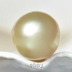 HUGE South Sea Pearl Golden Round 13.41 mm from Papua New Guinea 3.42g undrilled