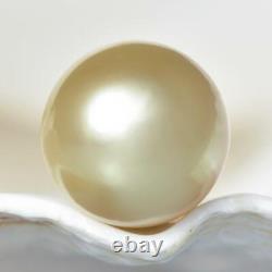 HUGE South Sea Pearl Golden Round 13.41 mm from Papua New Guinea 3.42g undrilled