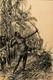 Hans Werner Schmidt (1859-1950) Papua New Guinea Hunters Illustration, 1900