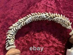Impressive Vintage Tribal Shell Necklace Neck Piece Papua New Guinea Warrior PNG