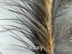 Lg RarePapua New Guinea Sepik River Mask Wood Feather Fiber 20 Ceremonial