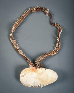 MALE PECTORAL, Sepik River, Papua New Guinea