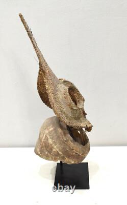 Mask Papua New Guinea Money Shell Yangoru Talipun Yam Mask