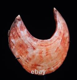 Monnaie Kina, Kina shell, oceanic art, tribal art, papua new guinea, 21 x 17 cm