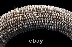 Monnaie d'échange Tolaï, currency ring shell, oceanic art, papua new guinea