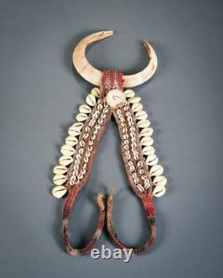 NASSA SHELL AND PIGS TUSK NECKLACE, Papua New Guinea