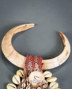 NASSA SHELL AND PIGS TUSK NECKLACE, Papua New Guinea